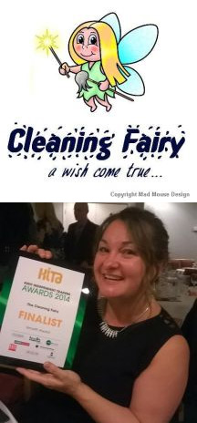 Cleaning Fairy Kent